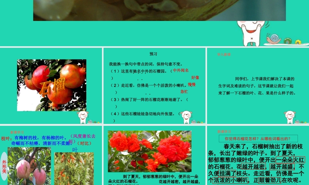 三年级语文上册 第5单元 16石榴（第2课时）课件 苏教版-苏教版小学三年级上册语文课件