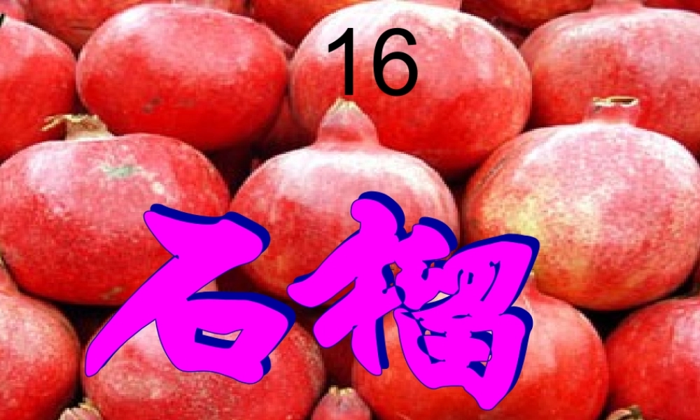 三年级语文上册 第5单元 16石榴课件 苏教版-苏教版小学三年级上册语文课件
