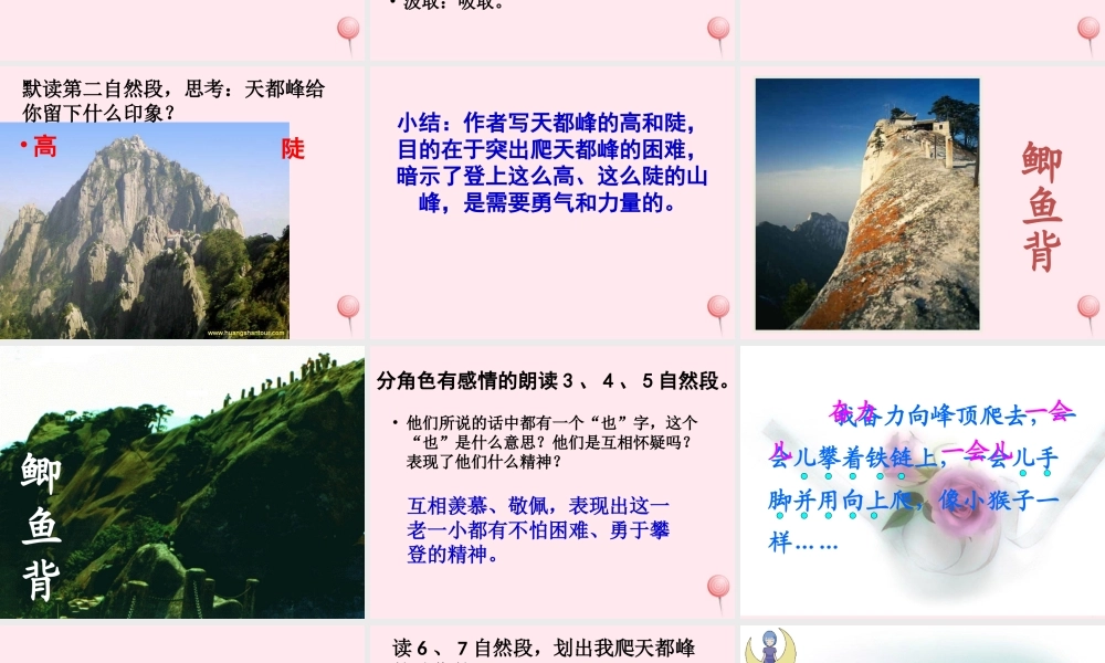 三年级语文上册 第一单元 3《爬天都峰》课件1 鲁教版-鲁教版小学三年级上册语文课件