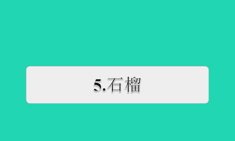 三年级语文上册 第5单元 16石榴习题课件1  苏教版-苏教版小学三年级上册语文课件