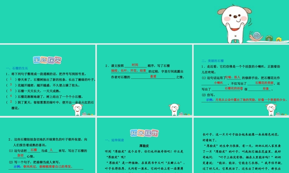 三年级语文上册 第5单元 16石榴习题课件1  苏教版-苏教版小学三年级上册语文课件