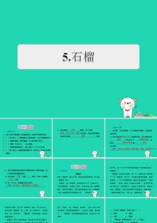 三年级语文上册 第5单元 16石榴习题课件1  苏教版-苏教版小学三年级上册语文课件