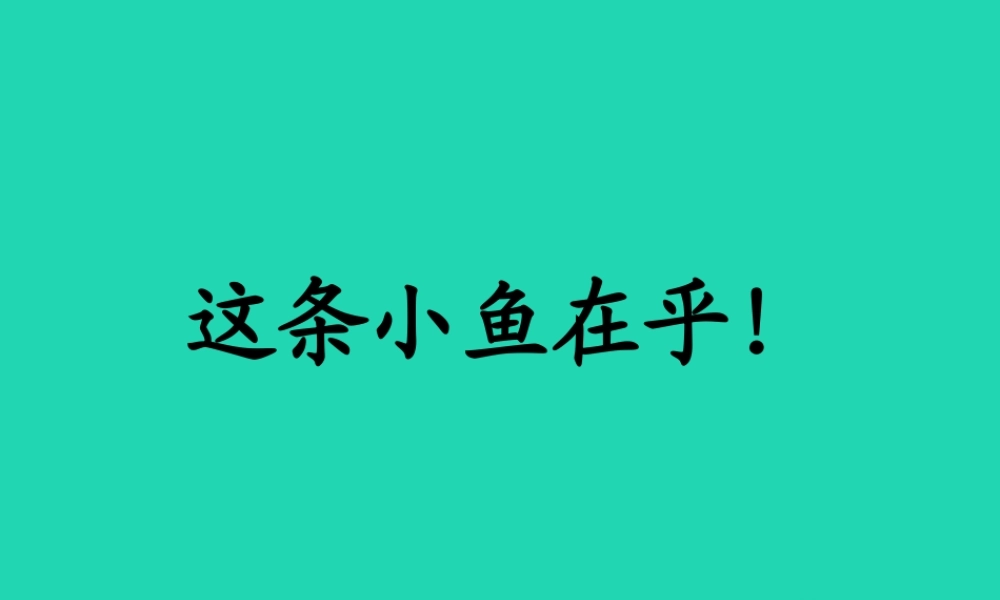 三年级语文上册 第一单元 3《这条小鱼在乎》教学课件3 鄂教版-鄂教版小学三年级上册语文课件