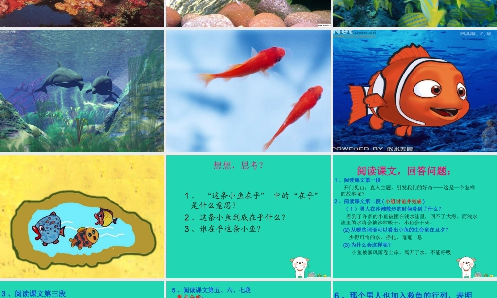 三年级语文上册 第一单元 3《这条小鱼在乎》教学课件3 鄂教版-鄂教版小学三年级上册语文课件