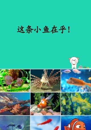 三年级语文上册 第一单元 3《这条小鱼在乎》教学课件3 鄂教版-鄂教版小学三年级上册语文课件