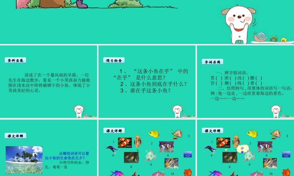 三年级语文上册 第一单元 3《这条小鱼在乎》课件 鄂教版-鄂教版小学三年级上册语文课件