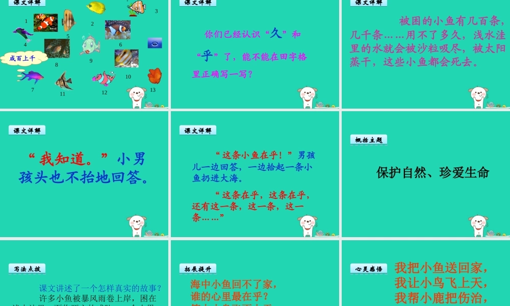 三年级语文上册 第一单元 3《这条小鱼在乎》课件 鄂教版-鄂教版小学三年级上册语文课件