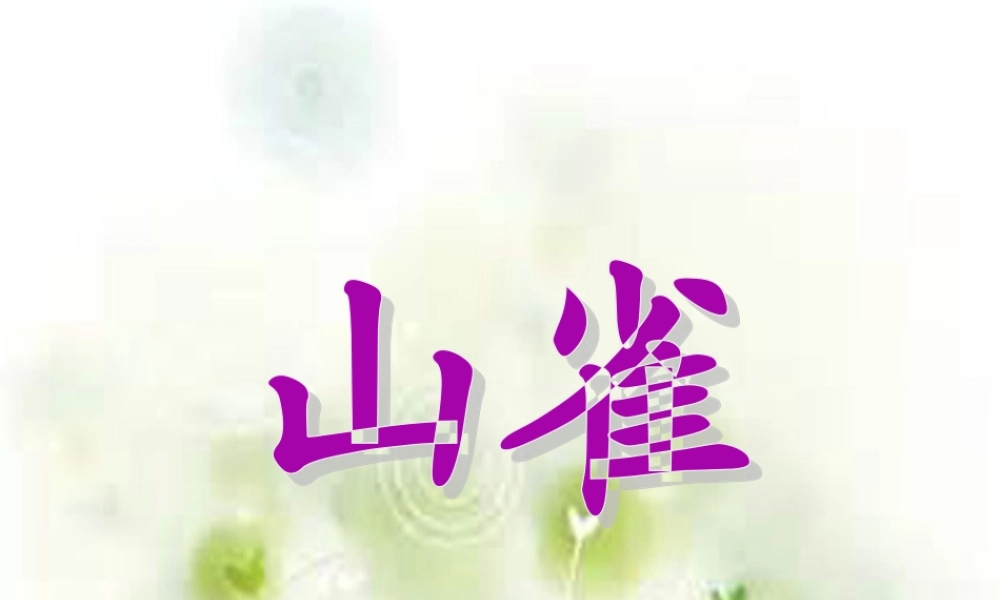 三年级语文上册 第5课 山雀课件 语文S版