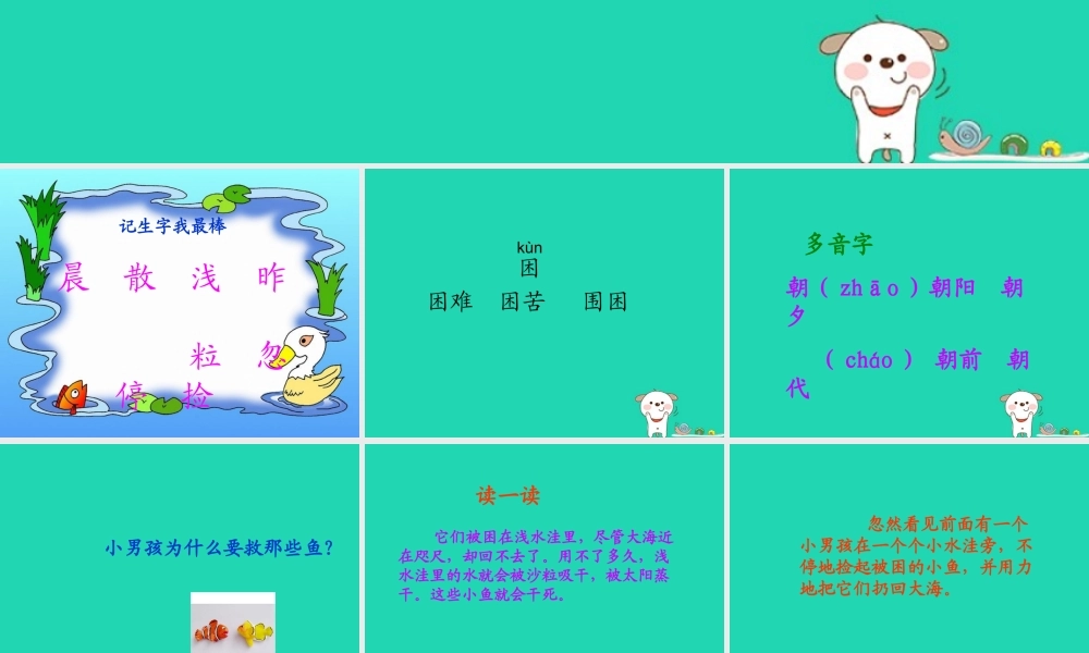 三年级语文上册 第一单元 3这条小鱼在乎课件 鄂教版-鄂教版小学三年级上册语文课件