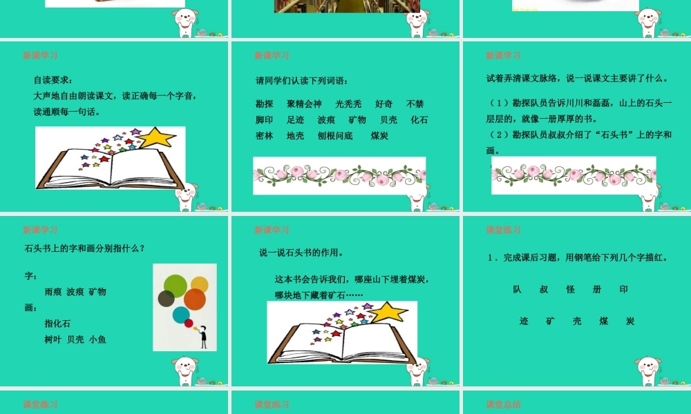 三年级语文上册 第6单元 17 石头书（第1课时）课件 苏教版-苏教版小学三年级上册语文课件