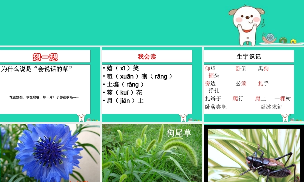 三年级语文上册 第一单元 4 会说话的草课件 冀教版-冀教版小学三年级上册语文课件