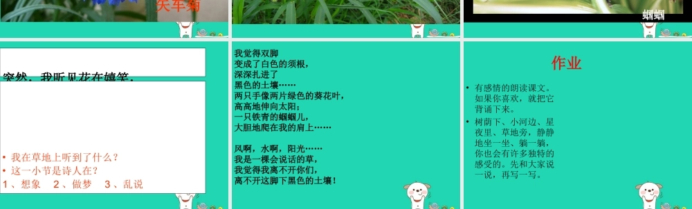 三年级语文上册 第一单元 4 会说话的草课件 冀教版-冀教版小学三年级上册语文课件