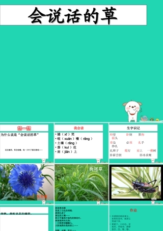三年级语文上册 第一单元 4 会说话的草课件 冀教版-冀教版小学三年级上册语文课件