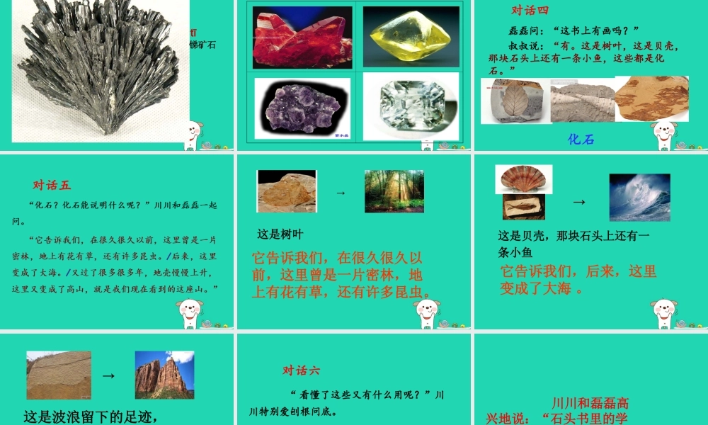 三年级语文上册 第6单元 17 石头书课件 苏教版-苏教版小学三年级上册语文课件