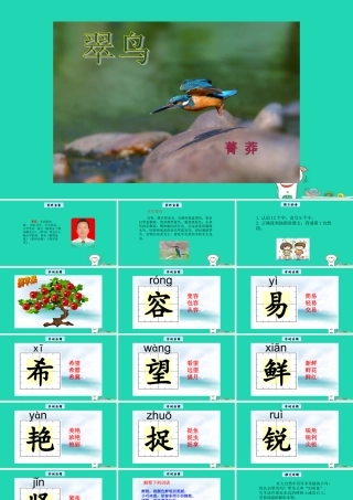 三年级语文上册 3《人类的朋友》翠鸟教学课件 长春版