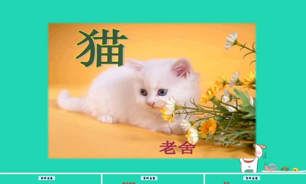 三年级语文上册 3《人类的朋友》猫教学课件 长春版