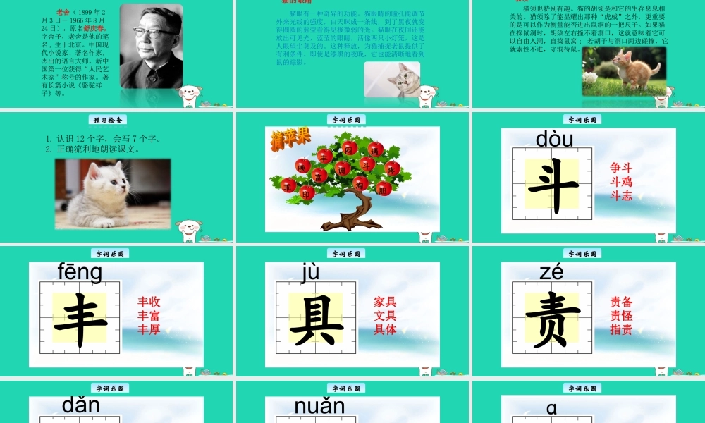 三年级语文上册 3《人类的朋友》猫教学课件 长春版