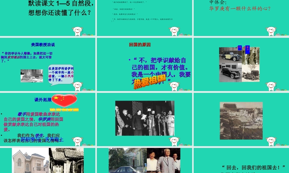 三年级语文上册 3《祖国在我心中》回自己的祖国去课件 北师大版-北师大版小学三年级上册语文课件