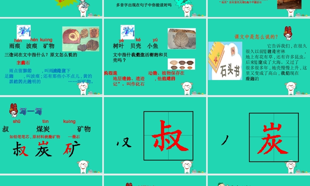 三年级语文上册 第6单元 17石头书（第1课时）课件 苏教版-苏教版小学三年级上册语文课件