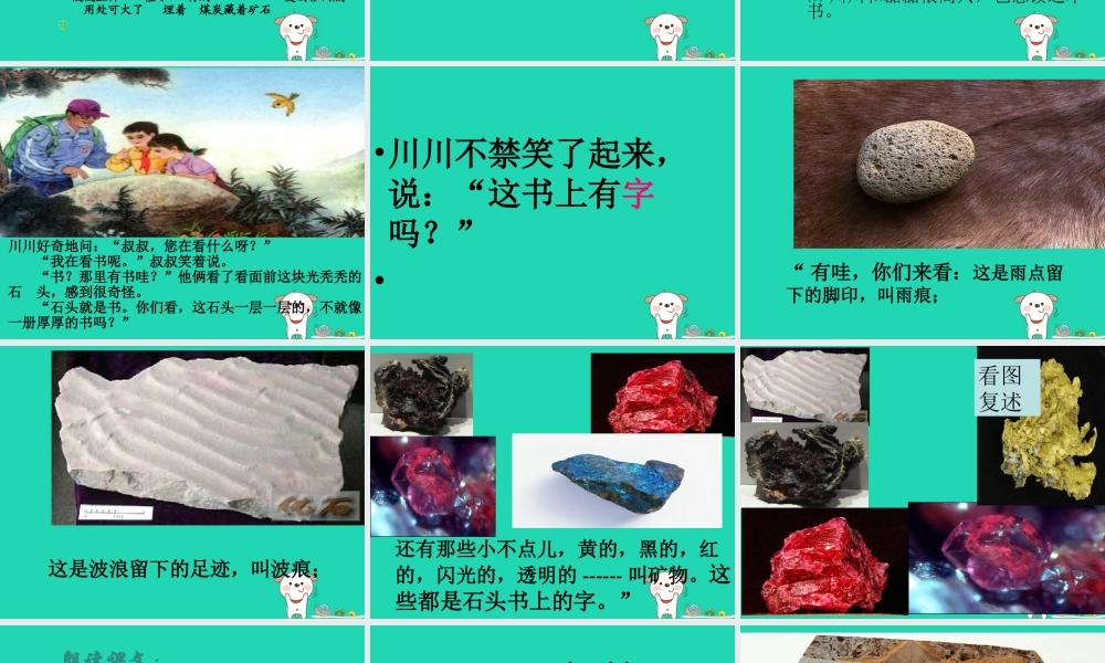 三年级语文上册 第6单元 17石头书课件 苏教版-苏教版小学三年级上册语文课件