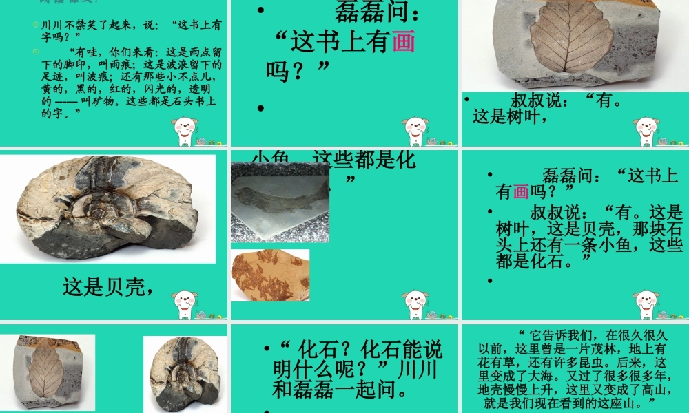 三年级语文上册 第6单元 17石头书课件 苏教版-苏教版小学三年级上册语文课件