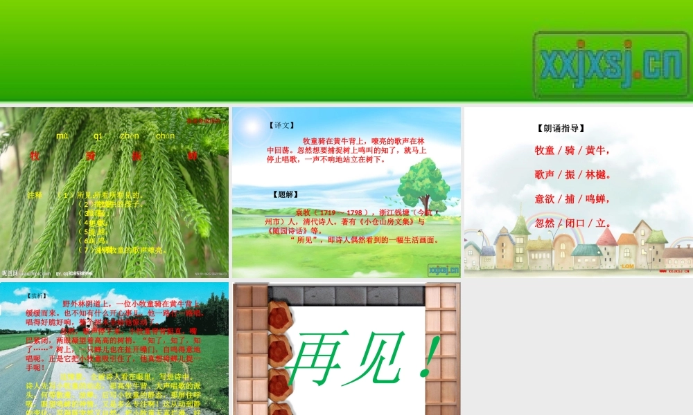 三年级语文上册 第一单元 古诗诵读：所见课件1 鄂教版-鄂教版小学三年级上册语文课件