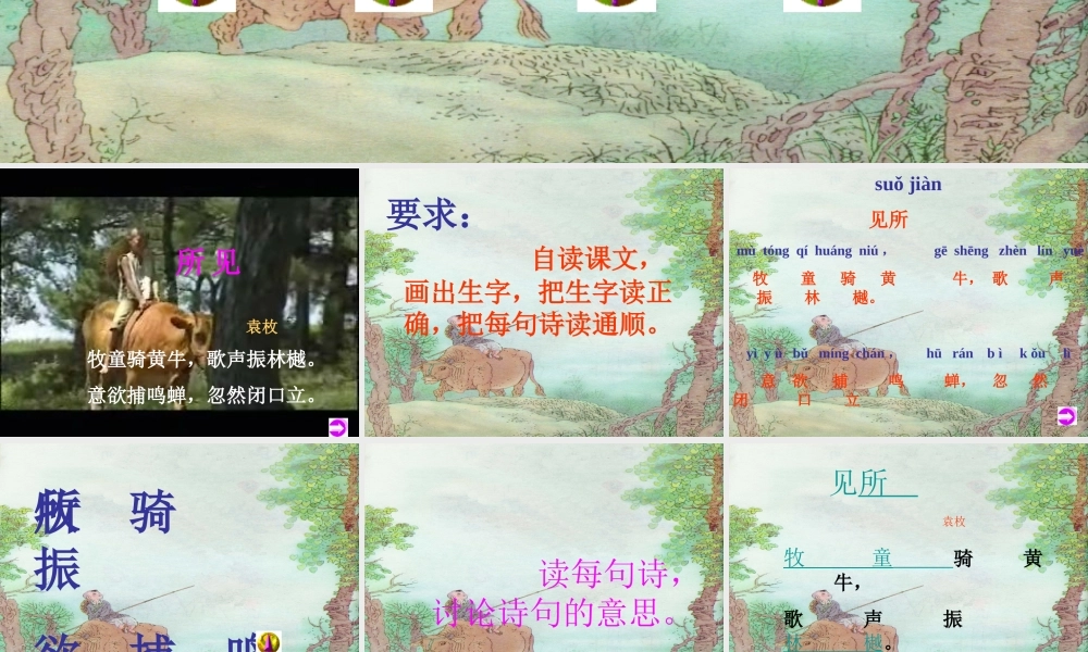 三年级语文上册 第一单元 古诗诵读：所见课件2 鄂教版-鄂教版小学三年级上册语文课件