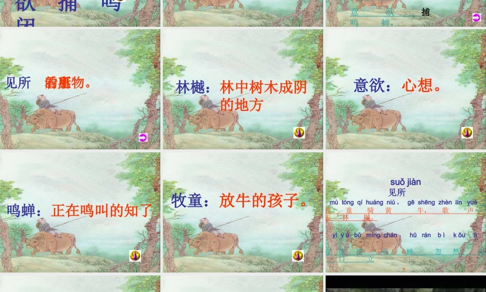 三年级语文上册 第一单元 古诗诵读：所见课件2 鄂教版-鄂教版小学三年级上册语文课件