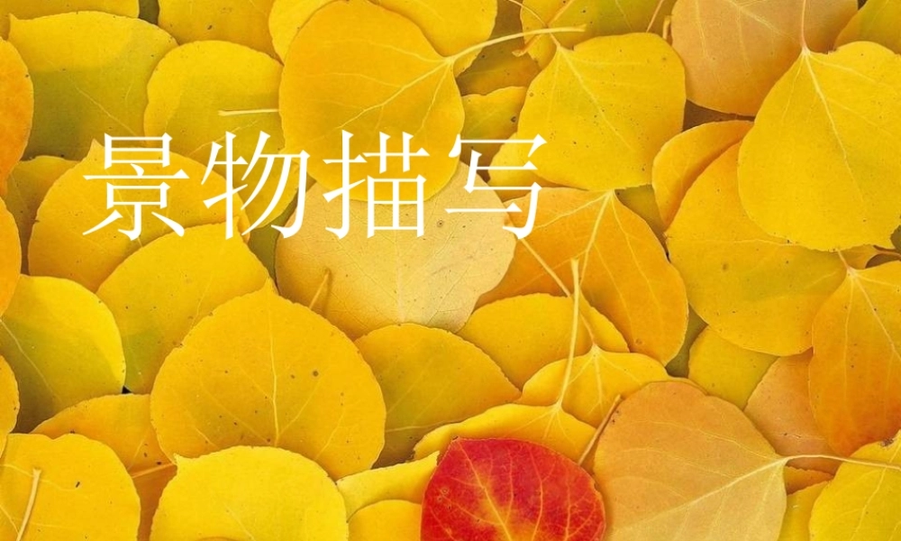 三年级语文上册 第一单元 秋天的味道课件3 长春版-长春版小学三年级上册语文课件