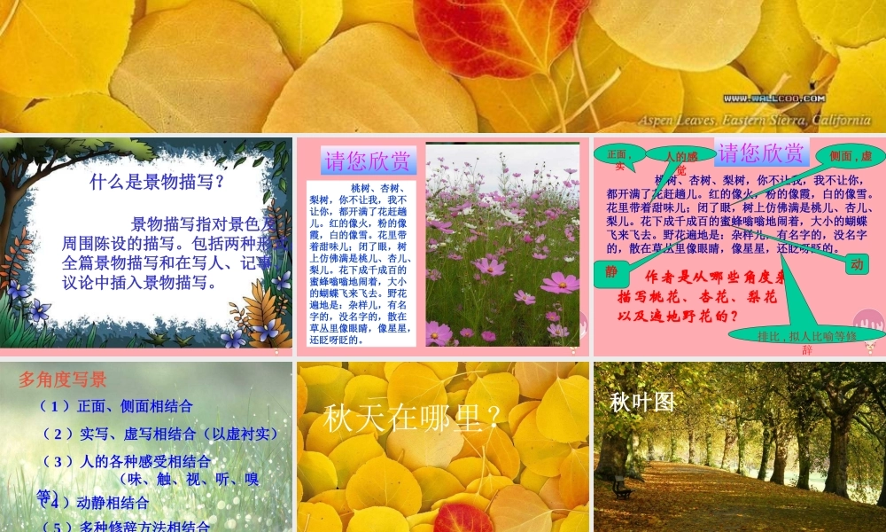 三年级语文上册 第一单元 秋天的味道课件3 长春版-长春版小学三年级上册语文课件