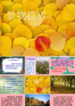 三年级语文上册 第一单元 秋天的味道课件3 长春版-长春版小学三年级上册语文课件