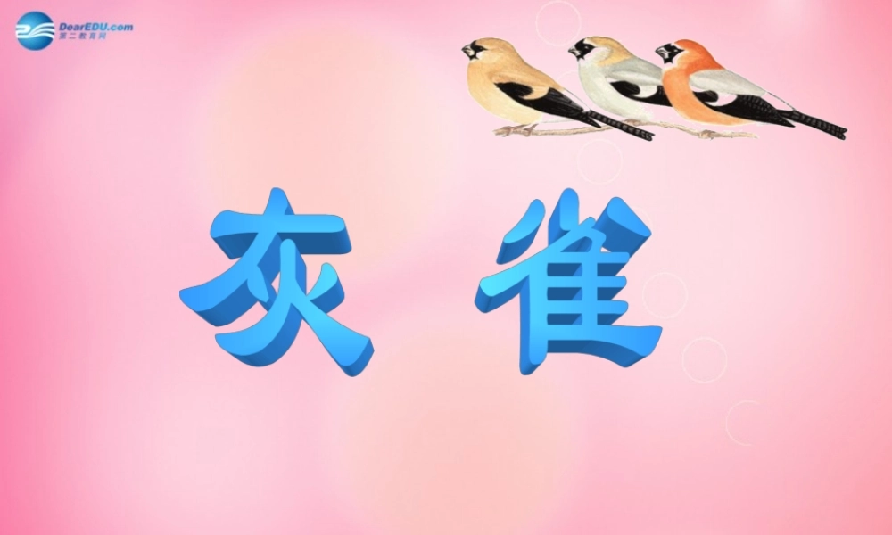 三年级语文上册 5.灰雀课件 新人教版-新人教版小学三年级上册语文课件