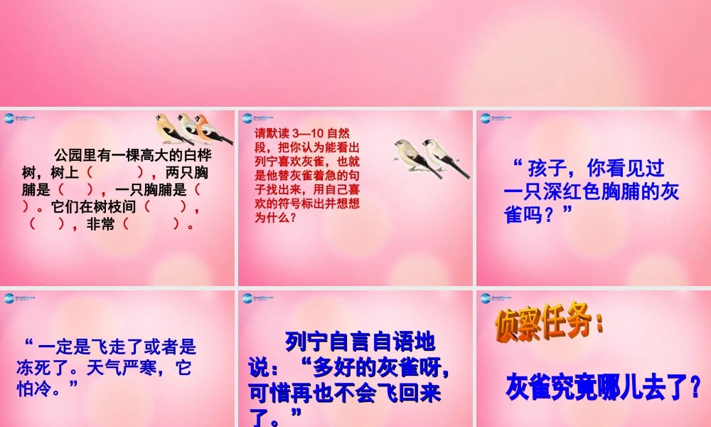 三年级语文上册 5.灰雀课件 新人教版-新人教版小学三年级上册语文课件