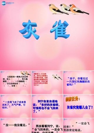 三年级语文上册 5.灰雀课件 新人教版-新人教版小学三年级上册语文课件