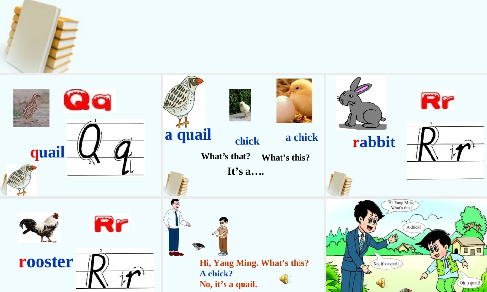 三年级英语下册 Unit 5 Lesson 28课件 人教新版