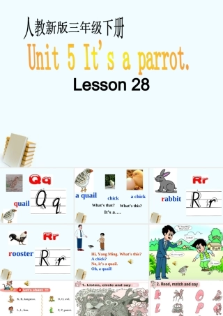 三年级英语下册 Unit 5 Lesson 28课件 人教新版
