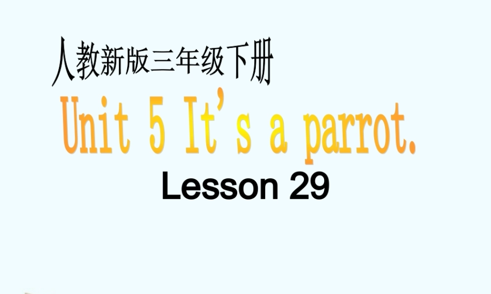 三年级英语下册 Unit 5 Lesson29课件 人教新版