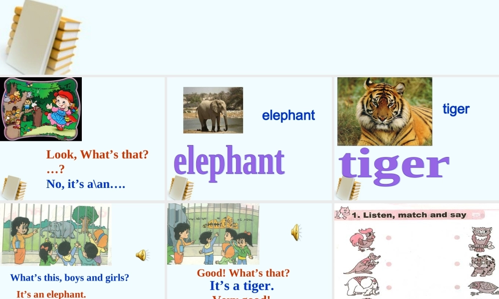 三年级英语下册 Unit 5 Lesson29课件 人教新版