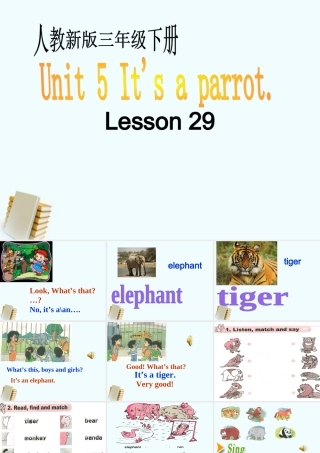三年级英语下册 Unit 5 Lesson29课件 人教新版
