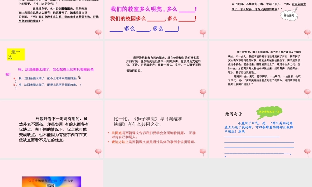 三年级语文上册 第七组 28《狮子和鹿》课堂教学课件1 新人教版-新人教版小学三年级上册语文课件