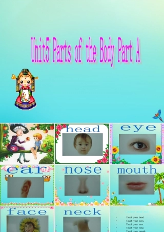 三年级英语下册 Unit 5 Parts of the Body Part A课件1 闽教版（三起）-闽教版小学三年级下册英语课件