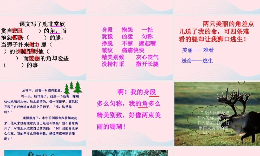 三年级语文上册 第七组 28《狮子和鹿》课堂教学课件2 新人教版-新人教版小学三年级上册语文课件