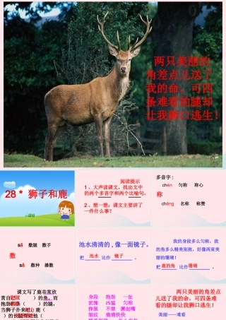 三年级语文上册 第七组 28《狮子和鹿》课堂教学课件2 新人教版-新人教版小学三年级上册语文课件