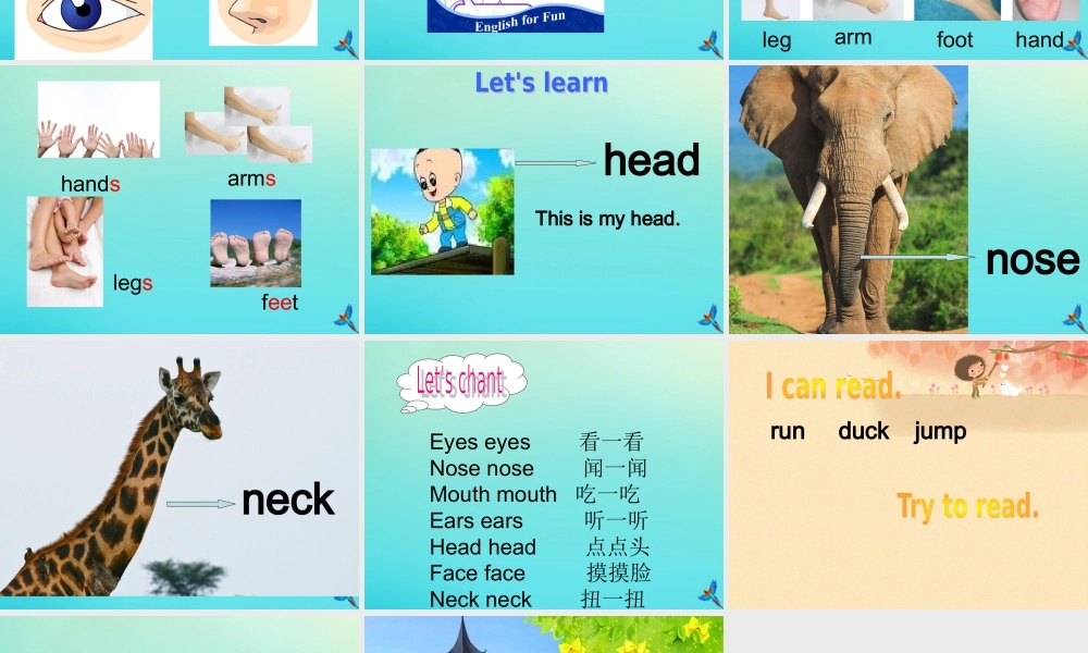 三年级英语下册 Unit 5 Parts of the Body Part A课件2 闽教版（三起）-闽教版小学三年级下册英语课件