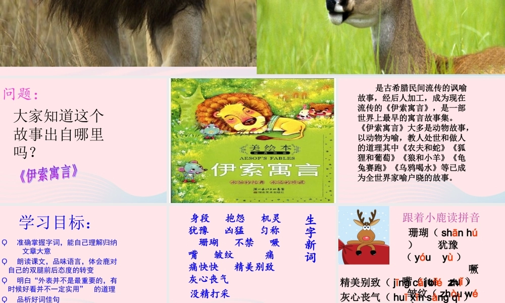 三年级语文上册 第七组 28《狮子和鹿》课堂教学课件3 新人教版-新人教版小学三年级上册语文课件