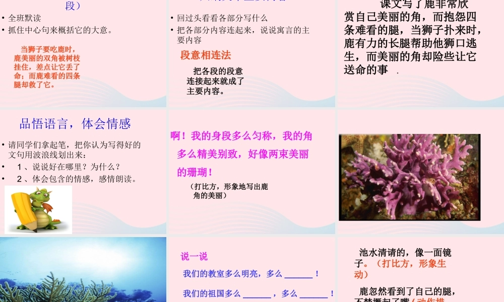 三年级语文上册 第七组 28《狮子和鹿》课堂教学课件3 新人教版-新人教版小学三年级上册语文课件