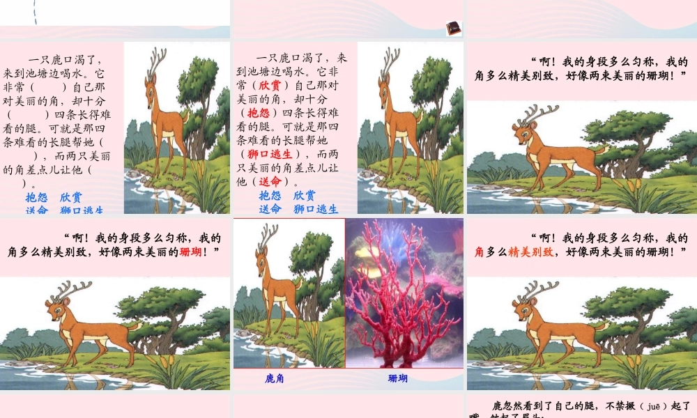 三年级语文上册 第七组 28《狮子和鹿》课堂教学课件4 新人教版-新人教版小学三年级上册语文课件