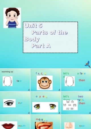 三年级英语下册 Unit 5 Parts of the Body Part A课件3 闽教版（三起）-闽教版小学三年级下册英语课件