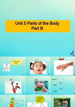 三年级英语下册 Unit 5 Parts of the Body Part B课件2 闽教版（三起）-闽教版小学三年级下册英语课件