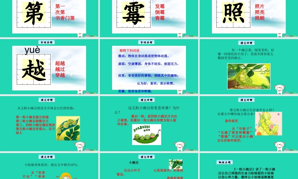 三年级语文上册 5《美好的愿望》一粒小豌豆教学课件 长春版